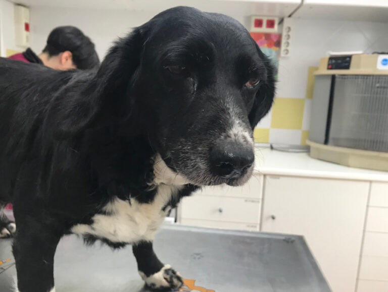 multimedia-foto55448-970-1