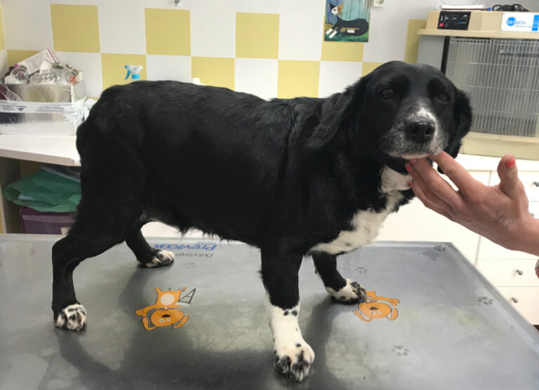 multimedia-foto55449-970-1