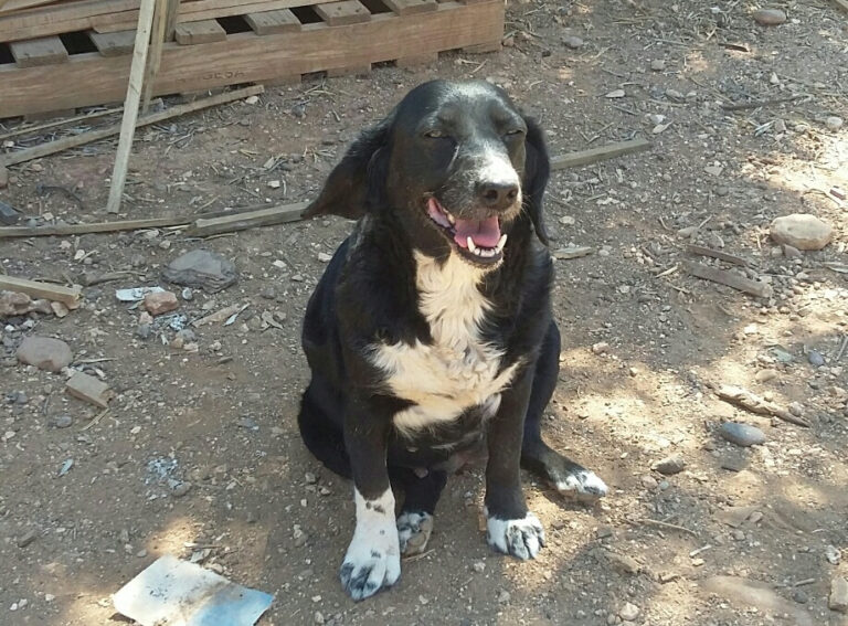 multimedia-foto55450-971-1