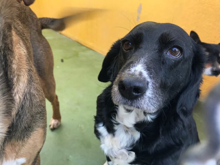 multimedia-foto55451-971-1