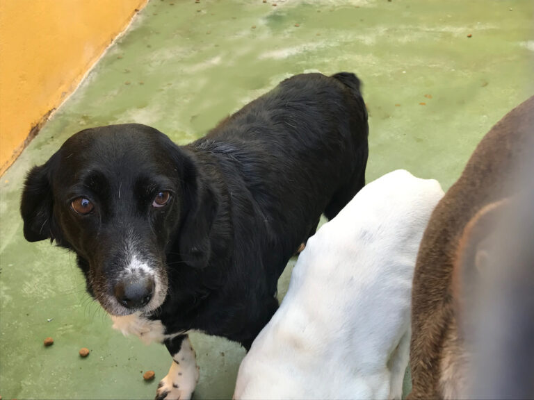 multimedia-foto55452-971-1