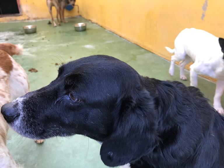 multimedia-foto55453-972-1