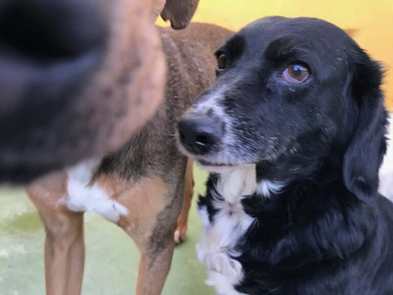 multimedia-foto55454-972-1