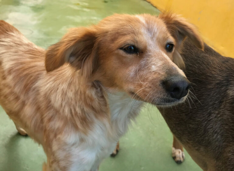 multimedia-foto55455-411-1