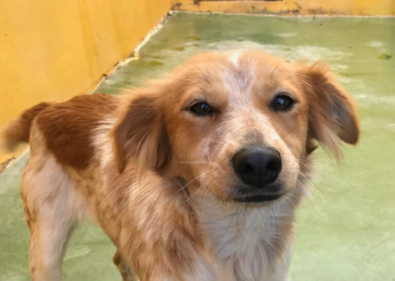 multimedia-foto55456-411-1