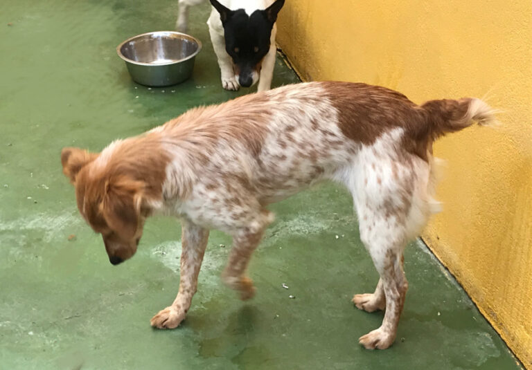 multimedia-foto55457-411-1