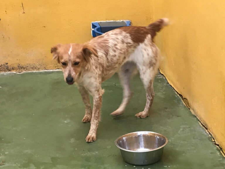 multimedia-foto55458-411-1