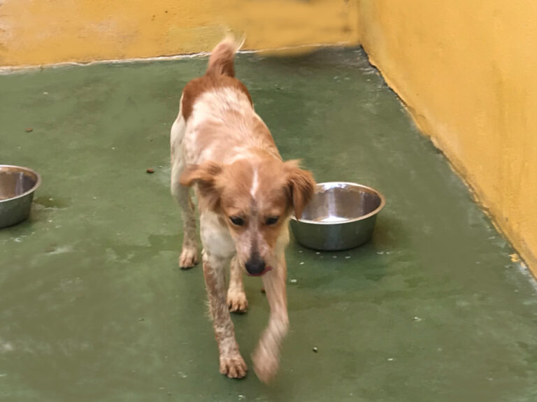 multimedia-foto55459-412-1