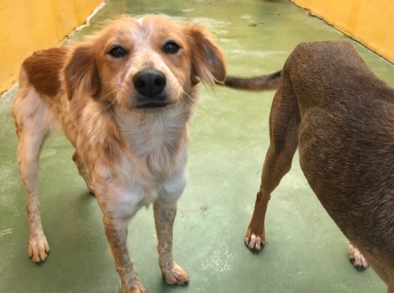 multimedia-foto55460-412-1