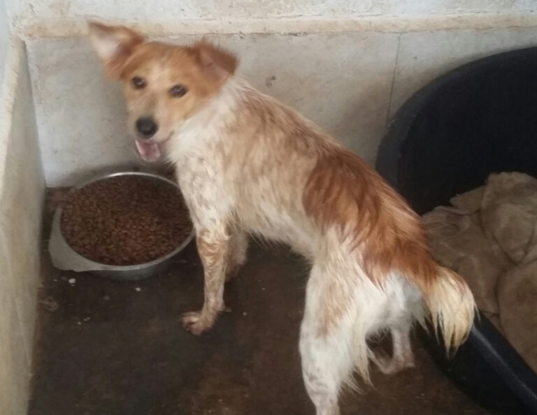 multimedia-foto55461-431-1