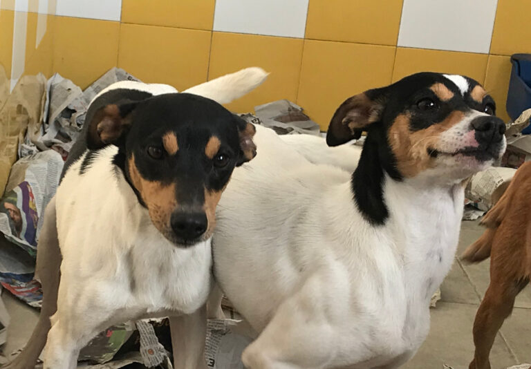 multimedia-foto55535-880-1