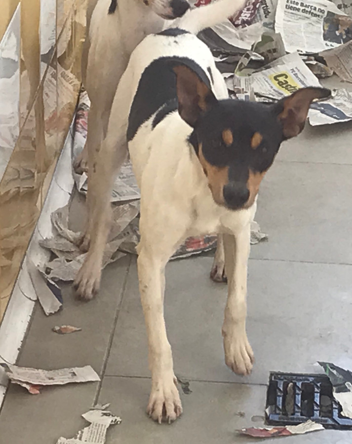 multimedia-foto55536-880-1