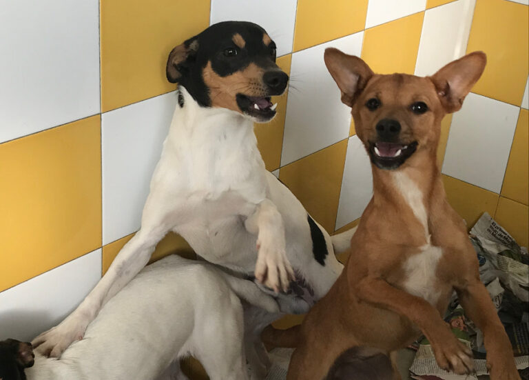 multimedia-foto55537-880-1