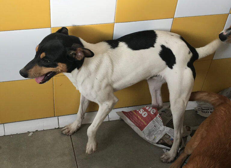 multimedia-foto55540-881-1