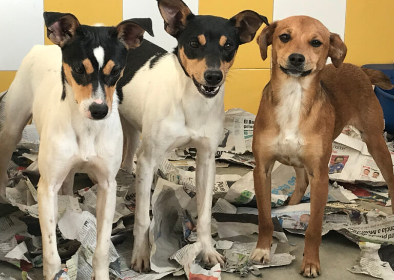 multimedia-foto55541-881-1