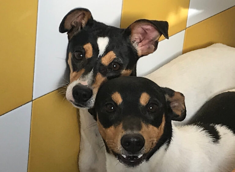 multimedia-foto55542-881-1