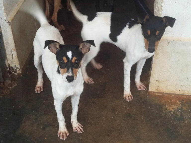 multimedia-foto55543-937-1