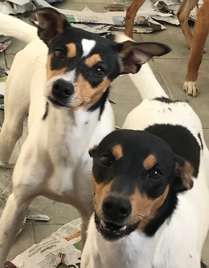 multimedia-foto55544-937-1