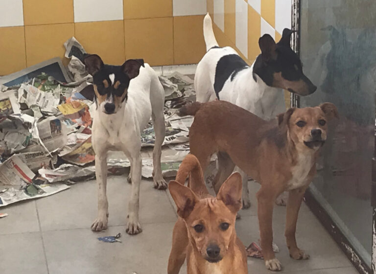 multimedia-foto55546-937-1