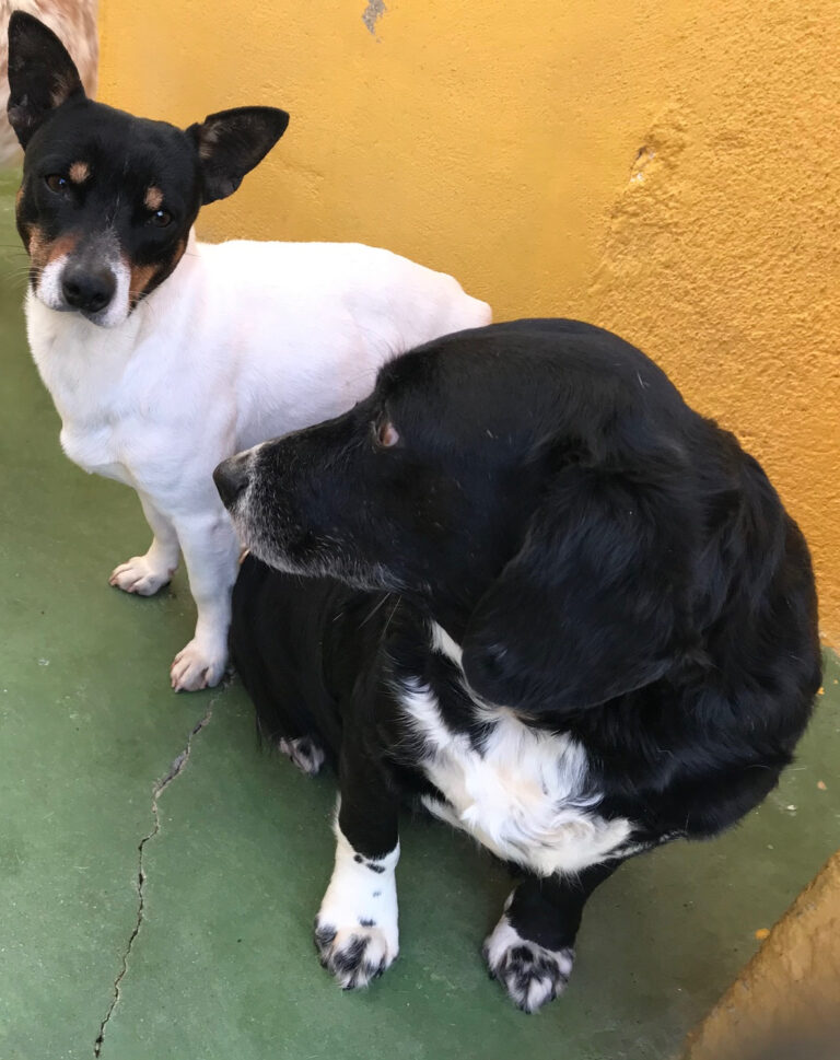 multimedia-foto55557-116-1