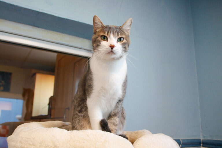 multimedia-foto55574-130-1