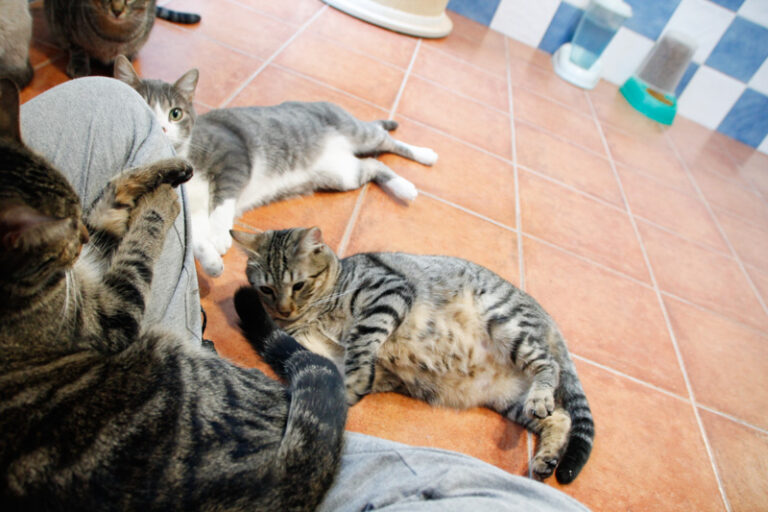 multimedia-foto55576-130-1