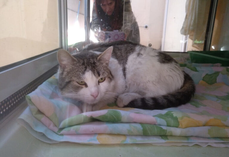 multimedia-foto55604-372-1