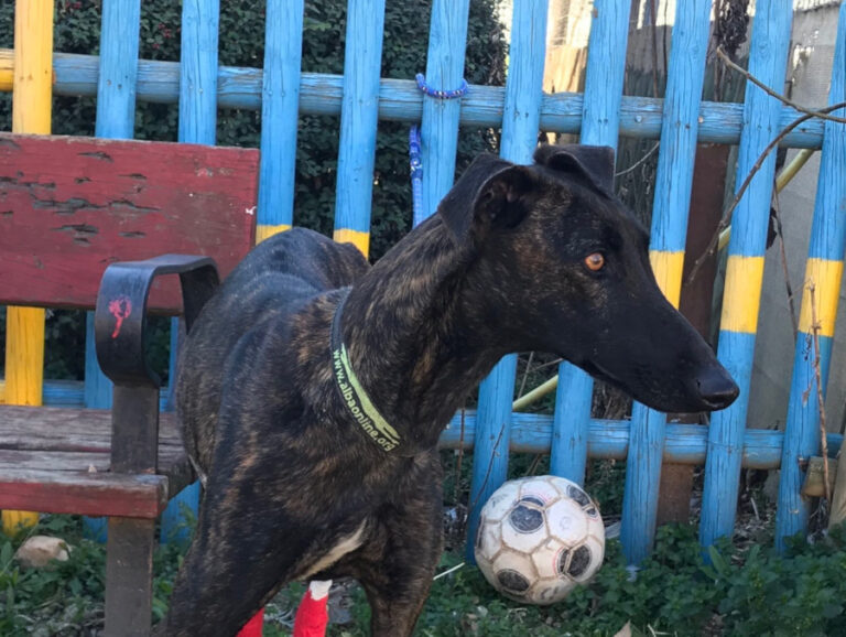 multimedia-foto55621-410-1