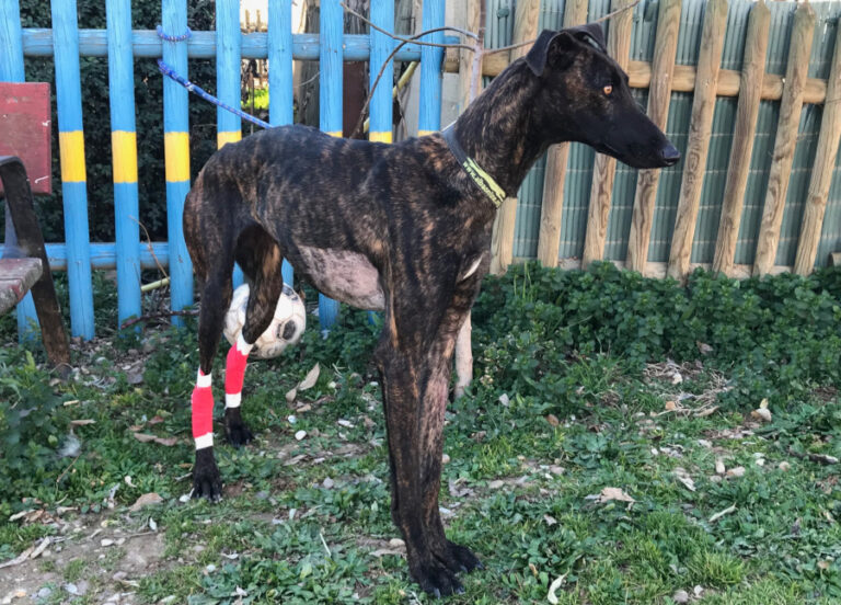 multimedia-foto55623-410-1