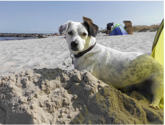 multimedia-foto55638-406-1