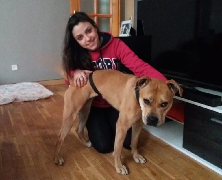 multimedia-foto55641-454-1