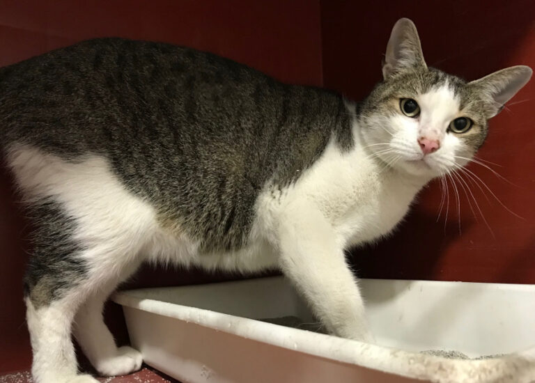 multimedia-foto55643-890-1