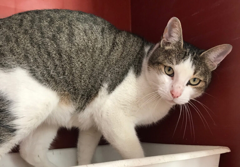 multimedia-foto55645-890-1