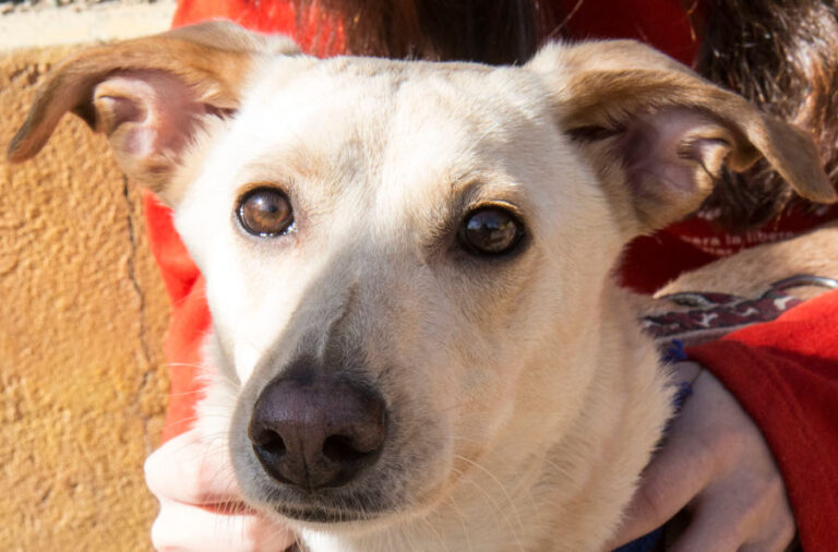 multimedia-foto55656-791-1