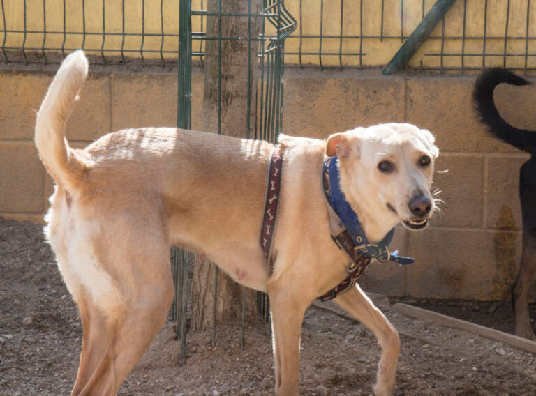 multimedia-foto55657-791-1