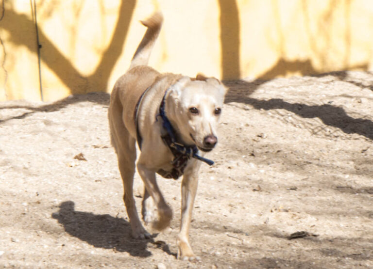 multimedia-foto55658-791-1