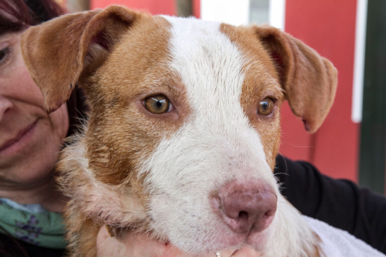 multimedia-foto55660-225-1