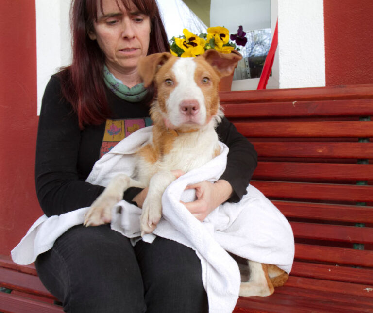 multimedia-foto55661-226-1