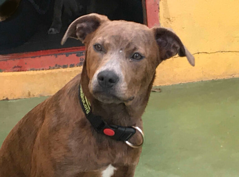 multimedia-foto55670-216-1