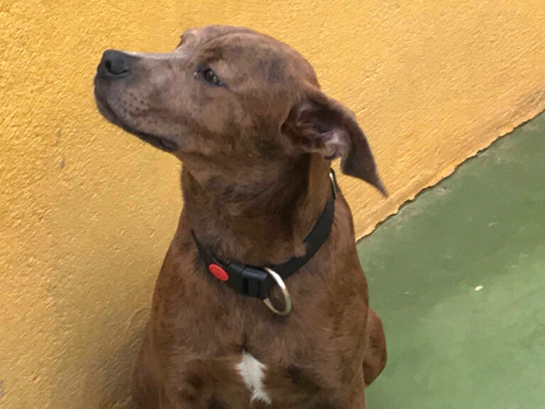 multimedia-foto55671-217-1