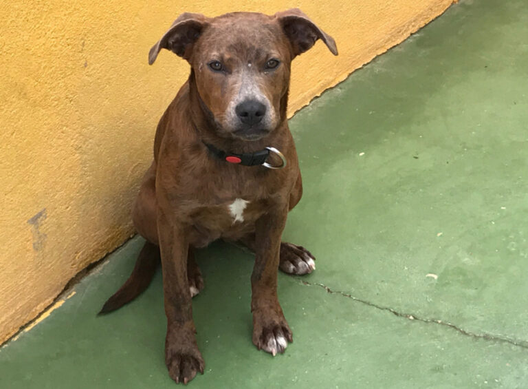 multimedia-foto55672-217-1