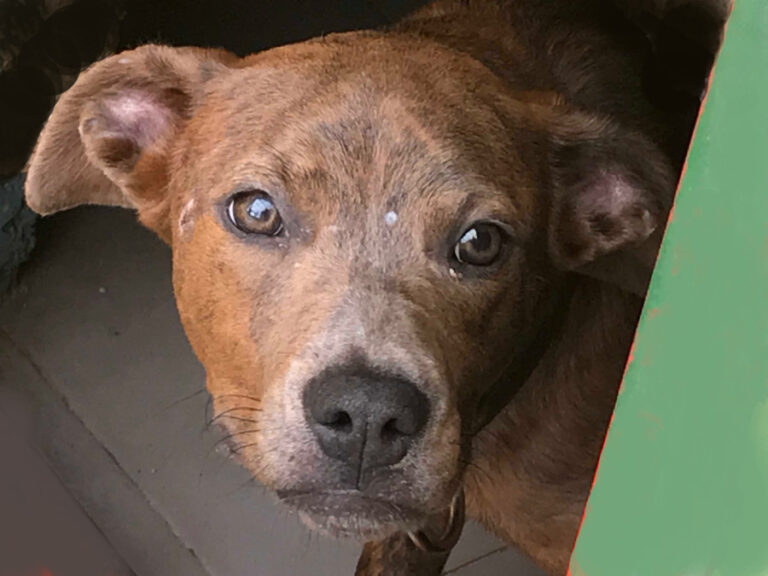 multimedia-foto55673-217-1