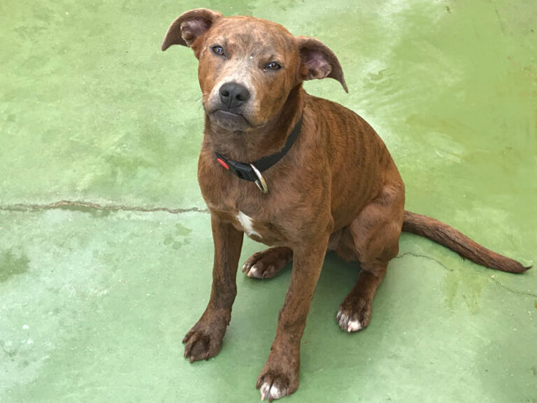 multimedia-foto55674-217-1