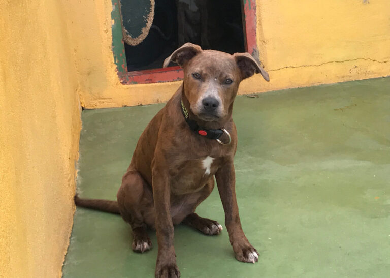 multimedia-foto55675-217-1