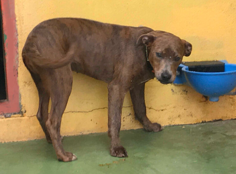 multimedia-foto55676-218-1