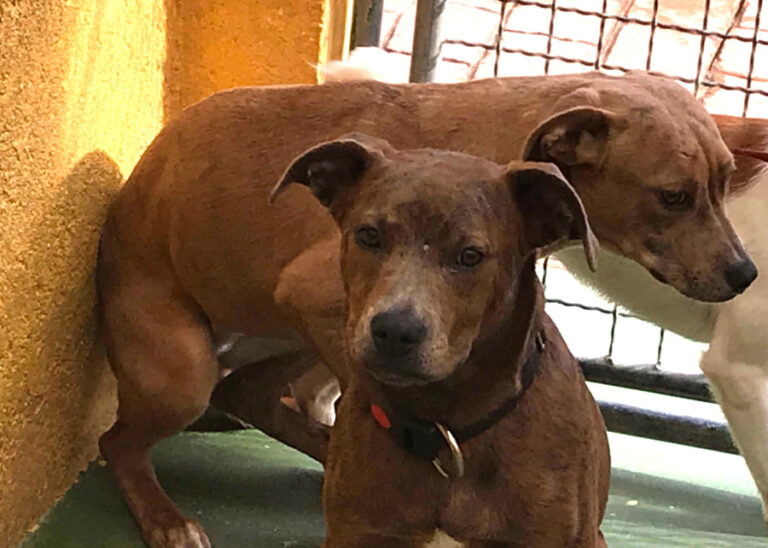 multimedia-foto55677-218-1