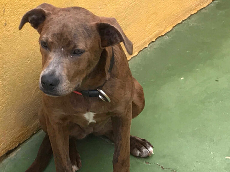 multimedia-foto55678-218-1