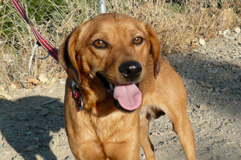 multimedia-foto55723-268-1