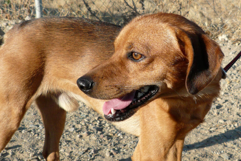 multimedia-foto55724-268-1