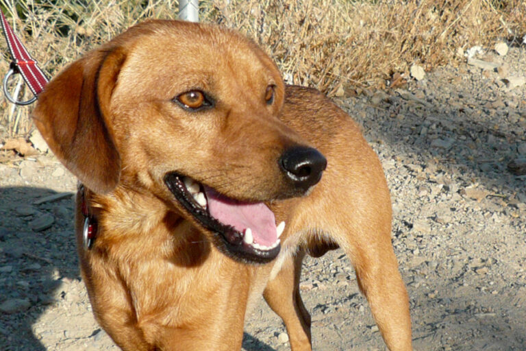 multimedia-foto55725-269-1